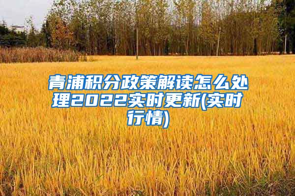 青浦积分政策解读怎么处理2022实时更新(实时行情)