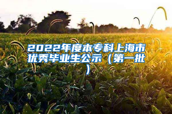 2022年度本专科上海市优秀毕业生公示（第一批）