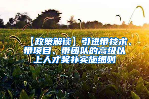 【政策解读】引进带技术、带项目、带团队的高级以上人才奖补实施细则