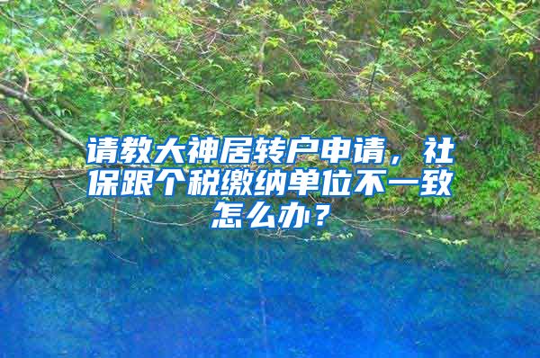 请教大神居转户申请，社保跟个税缴纳单位不一致怎么办？