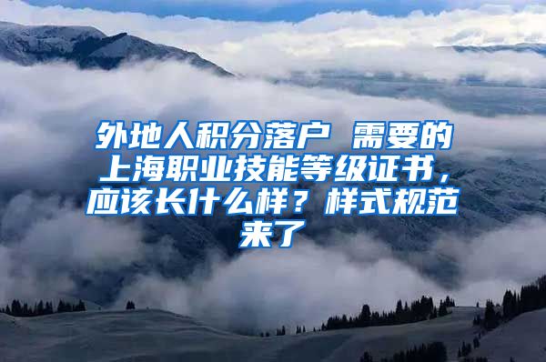 外地人积分落户 需要的上海职业技能等级证书，应该长什么样？样式规范来了→