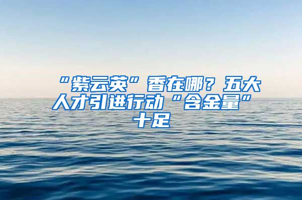 “紫云英”香在哪？五大人才引进行动“含金量”十足