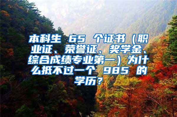 本科生 65 个证书（职业证、荣誉证、奖学金、综合成绩专业第一）为什么抵不过一个 985 的学历？