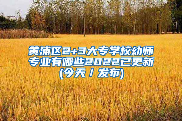 黄浦区2+3大专学校幼师专业有哪些2022已更新(今天／发布)