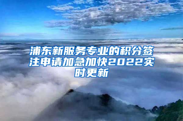 浦东新服务专业的积分签注申请加急加快2022实时更新