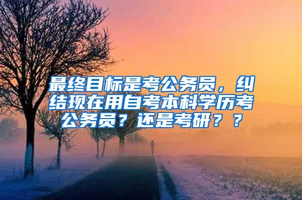 最终目标是考公务员，纠结现在用自考本科学历考公务员？还是考研？？