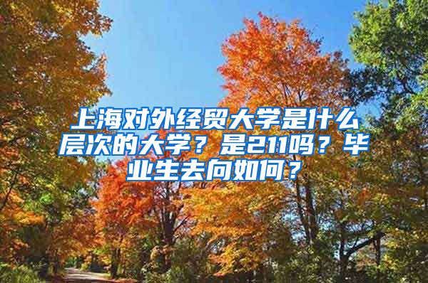 上海对外经贸大学是什么层次的大学？是211吗？毕业生去向如何？