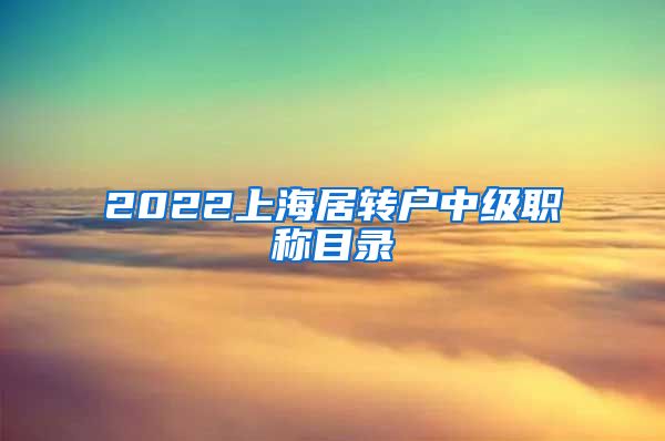 2022上海居转户中级职称目录