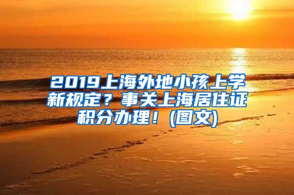 2019上海外地小孩上学新规定？事关上海居住证积分办理！(图文)