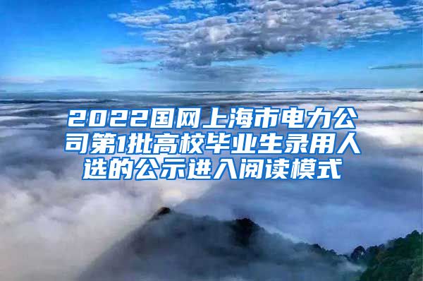 2022国网上海市电力公司第1批高校毕业生录用人选的公示进入阅读模式