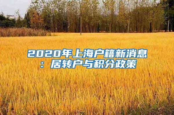 2020年上海户籍新消息：居转户与积分政策