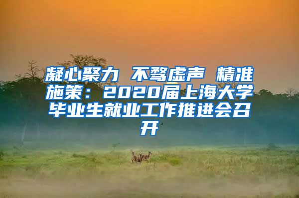 凝心聚力 不骛虚声 精准施策：2020届上海大学毕业生就业工作推进会召开