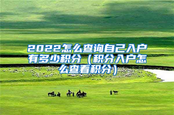 2022怎么查询自己入户有多少积分（积分入户怎么查看积分）