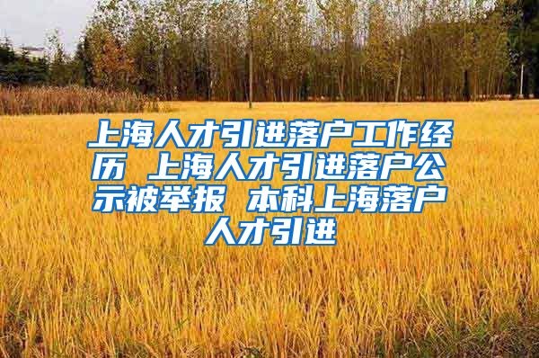 上海人才引进落户工作经历 上海人才引进落户公示被举报 本科上海落户人才引进