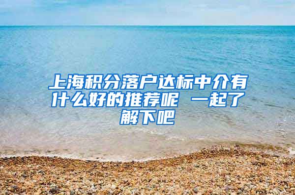 上海积分落户达标中介有什么好的推荐呢 一起了解下吧