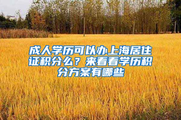 成人学历可以办上海居住证积分么？来看看学历积分方案有哪些