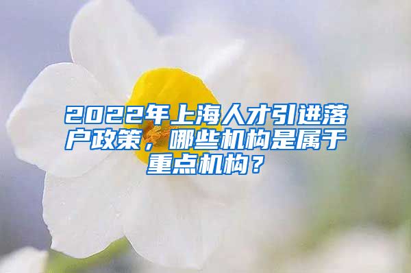 2022年上海人才引进落户政策，哪些机构是属于重点机构？