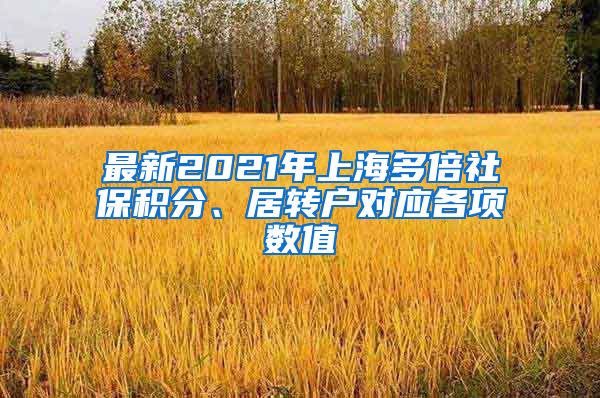 最新2021年上海多倍社保积分、居转户对应各项数值