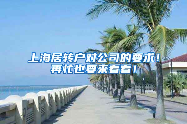 上海居转户对公司的要求！再忙也要来看看！