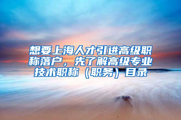 想要上海人才引进高级职称落户，先了解高级专业技术职称（职务）目录