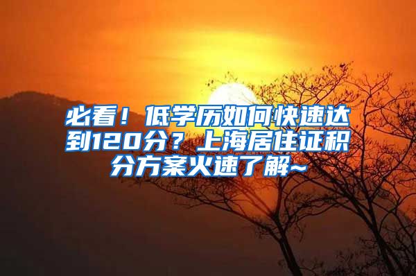 必看！低学历如何快速达到120分？上海居住证积分方案火速了解~