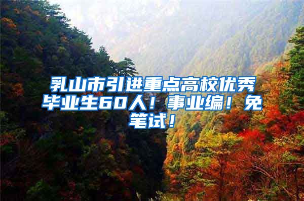 乳山市引进重点高校优秀毕业生60人！事业编！免笔试！