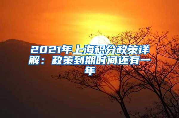 2021年上海积分政策详解：政策到期时间还有一年