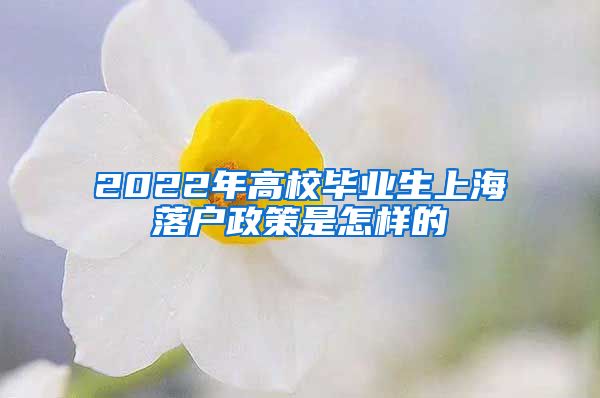 2022年高校毕业生上海落户政策是怎样的