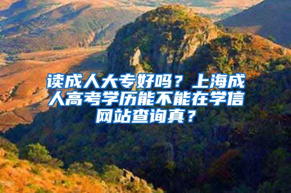 读成人大专好吗？上海成人高考学历能不能在学信网站查询真？