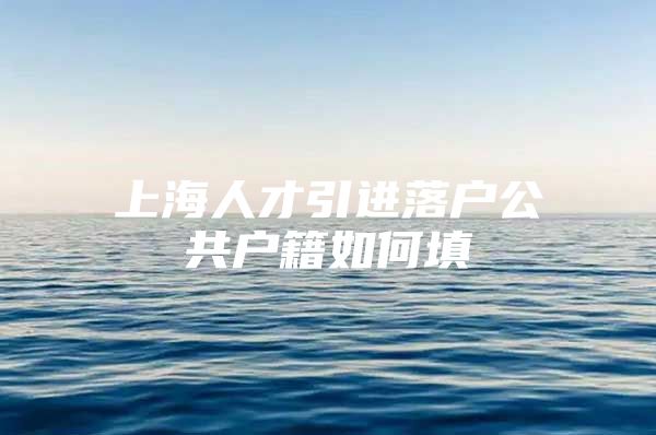 上海人才引进落户公共户籍如何填