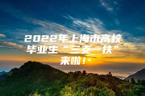 2022年上海市高校毕业生“三支一扶”来啦！