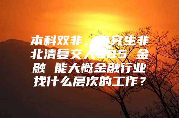 本科双非，研究生非北清复交人985 金融 能大概金融行业找什么层次的工作？