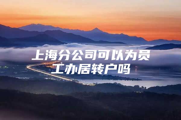 上海分公司可以为员工办居转户吗