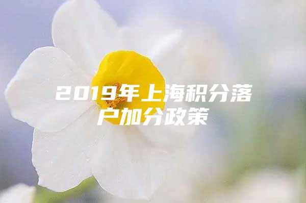 2019年上海积分落户加分政策