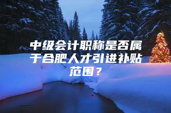 中级会计职称是否属于合肥人才引进补贴范围？