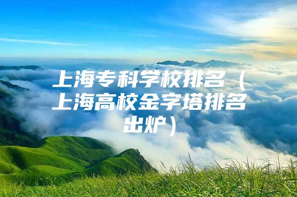 上海专科学校排名（上海高校金字塔排名出炉）