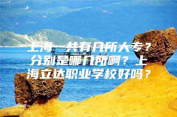 上海一共有几所大专？分别是哪几所啊？上海立达职业学校好吗？