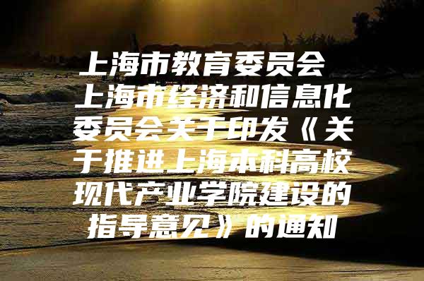 上海市教育委员会 上海市经济和信息化委员会关于印发《关于推进上海本科高校现代产业学院建设的指导意见》的通知