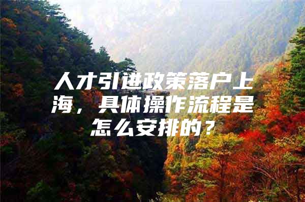 人才引进政策落户上海，具体操作流程是怎么安排的？