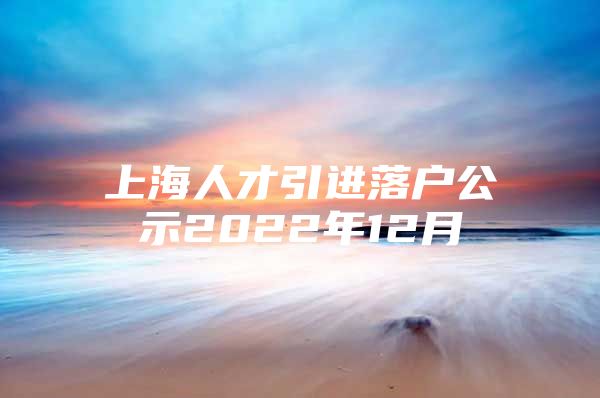 上海人才引进落户公示2022年12月