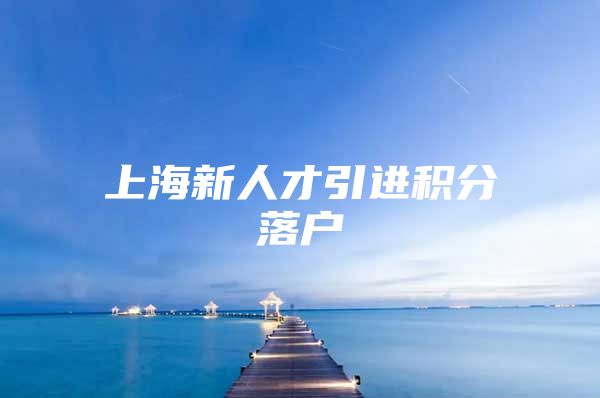 上海新人才引进积分落户