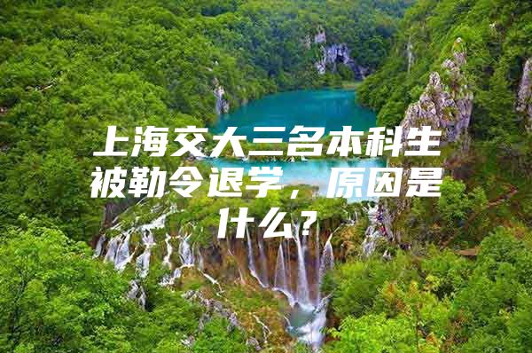 上海交大三名本科生被勒令退学，原因是什么？