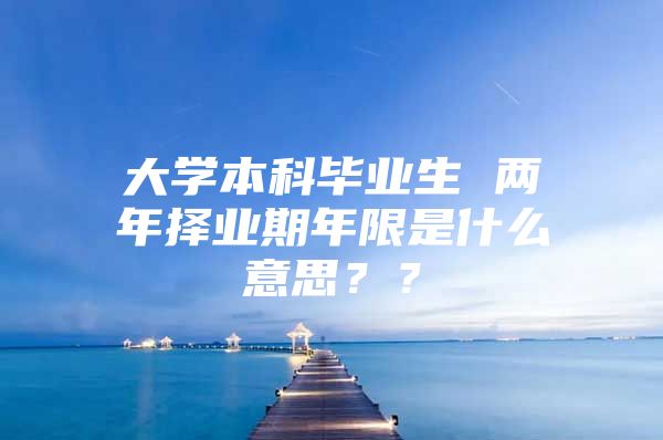 大学本科毕业生 两年择业期年限是什么意思？？