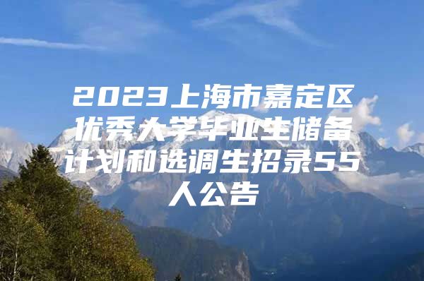 2023上海市嘉定区优秀大学毕业生储备计划和选调生招录55人公告