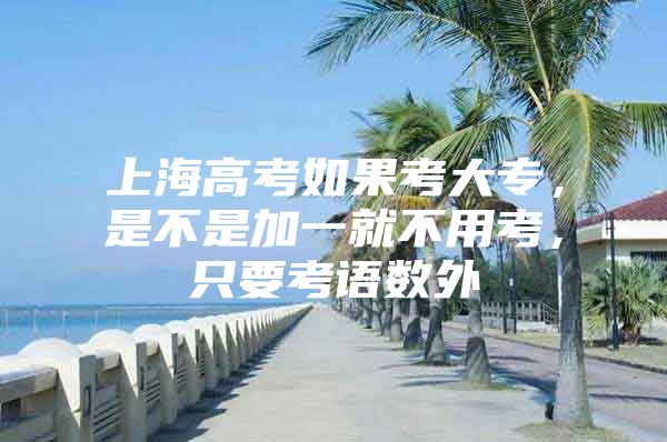 上海高考如果考大专，是不是加一就不用考，只要考语数外