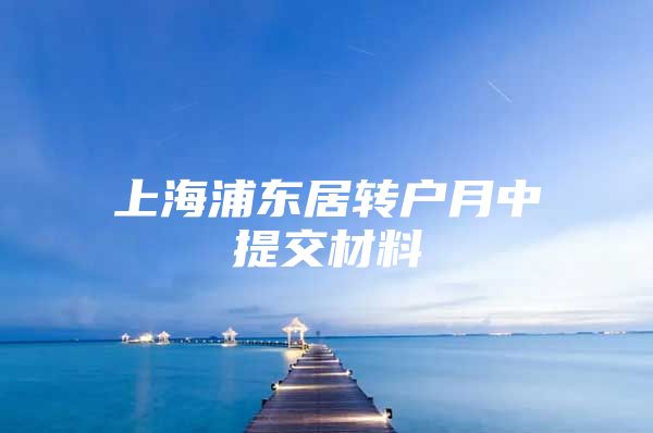 上海浦东居转户月中提交材料