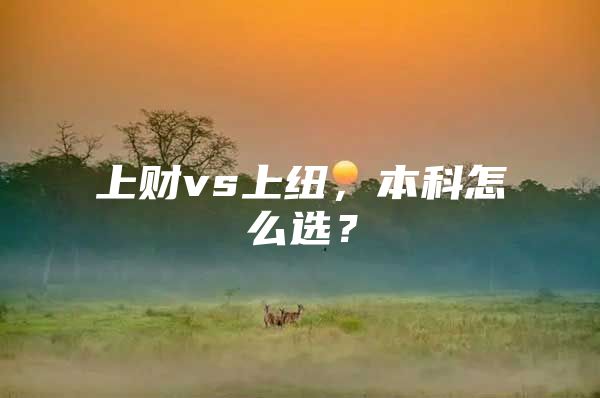 上财vs上纽，本科怎么选？