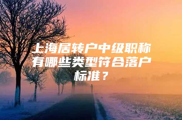 上海居转户中级职称有哪些类型符合落户标准？