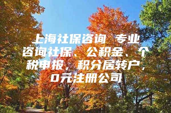 上海社保咨询 专业咨询社保、公积金、个税申报，积分居转户，0元注册公司