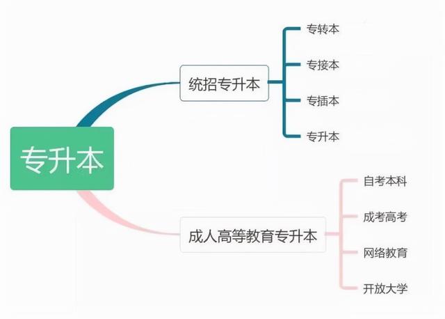 大专生当兵最新政策